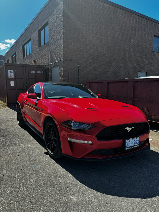 2019 Ford Mustang EcoBoost Coupe 4-cyl Turbo 2.3L in Cars & Trucks in Ottawa - Image 2