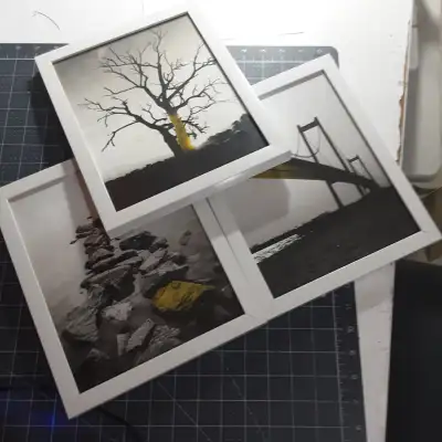 3-8x10 framed prints..