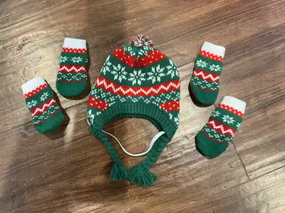 Chapeau & bas pour chien/Hat & Socks for dog, View more