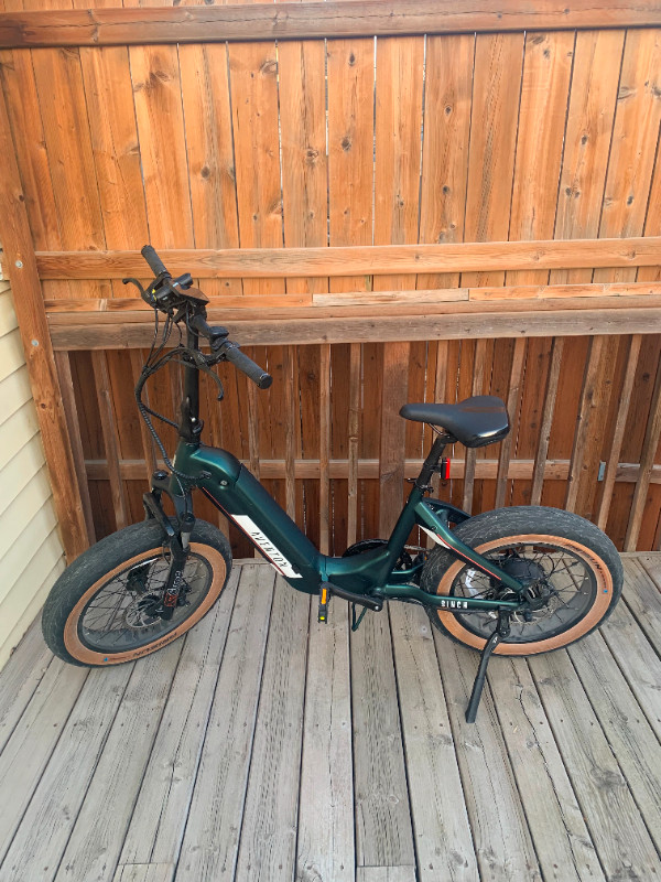 33 ads for electric bike in Bikes in Winnipeg Kijiji Marketplaces