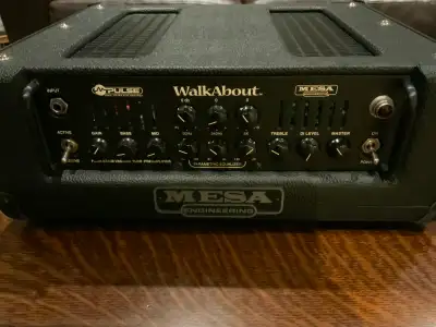 Mesa Boogie Walkabout Bass Head, View more