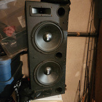 2  12 inch subwoofers with a box 
