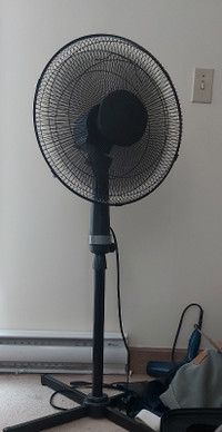 Standing oscillating fan $15