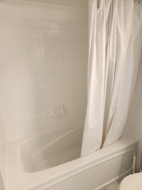 Master bedroom/bathroom available (Working Women Preferred)