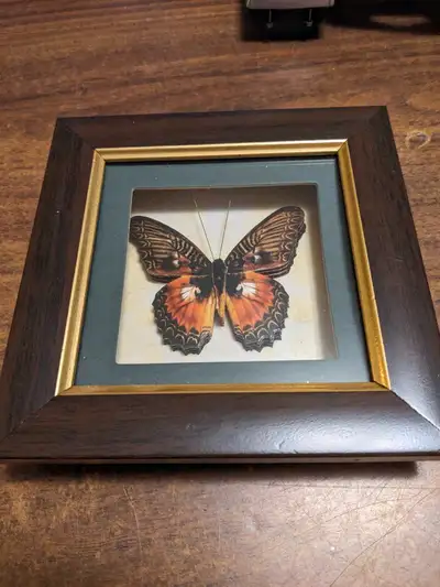 Paper Tole Butterfly Shadow Box, View more