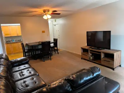 Room for Rent (furnished) –  Mississauga Available Immediately