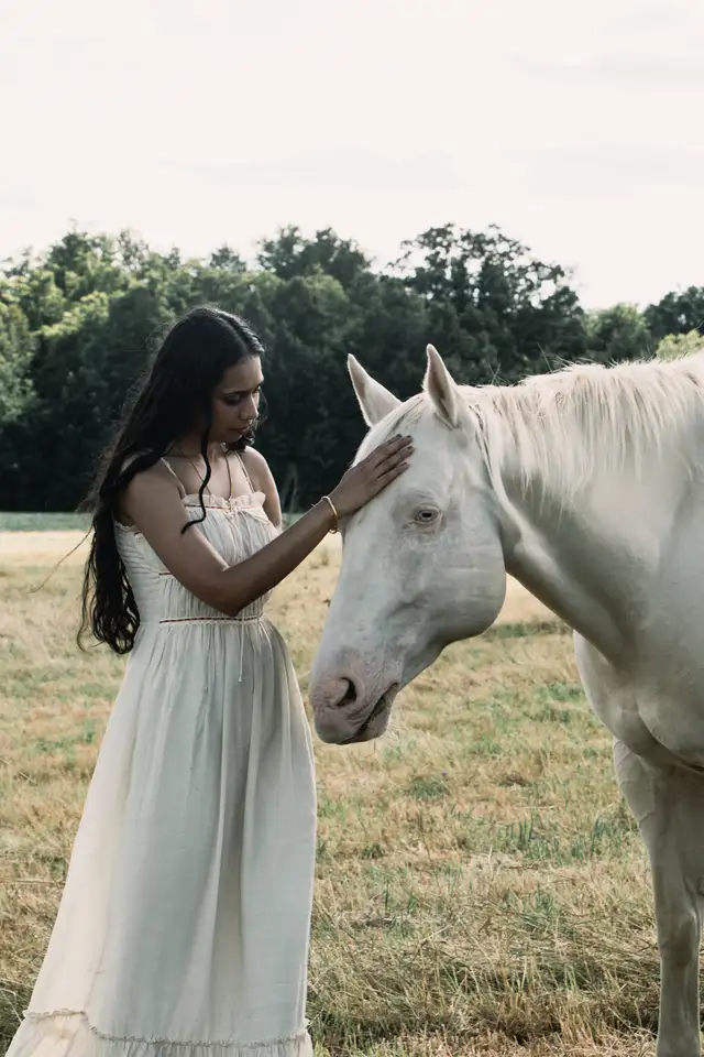 Equine  photographer63417618858883122