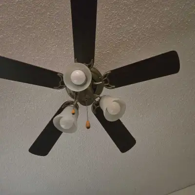 Ceiling fan used ; okay condition