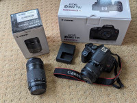 Canon Rebel T8i and 55-250mm zoom