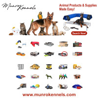 Discover the Best for Your Pets & Animals!