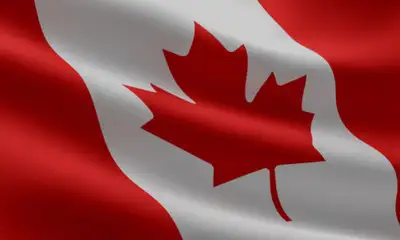 Expertise in handling Canadian Immigration cases/applications Sponsorship family class Economic Path...