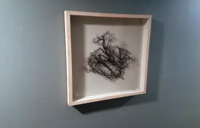 Tree like branch mounted on a fabric background and framed Size: 60cm x 60cm Note: some small pieces...