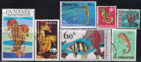 Seahorse, Marine Stamps, 7 Different