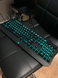 Razer blackwidow