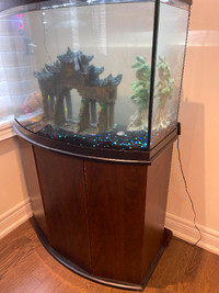 36 Gallon bow front Aquarium  with stand for sale