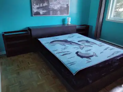 Lit Queen et bibliothèques (tables de chevet) IKEA MALM, View more