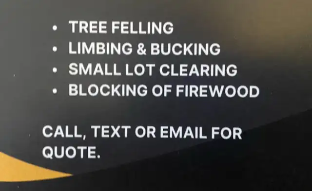 Chainsaw for Hire - Tree Maintenance - Storm Cleanup in Lawn, Tree Maintenance & Eavestrough in Summerside - Image 3