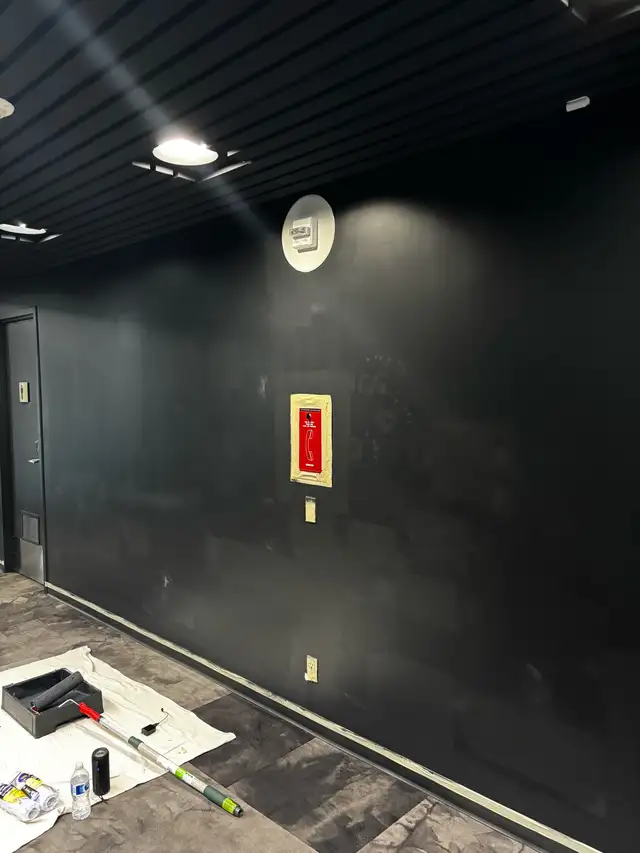Professional Interior Painter415732416234792964