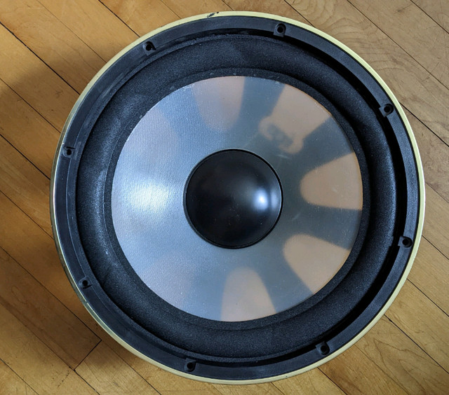 12" (12 inch) speaker, 4.2 ohms in Guitars in City of Toronto