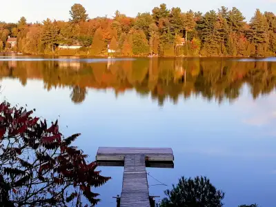 au bord d'un lac , parfait pour baignade , canoe ou pèche , ideal pour les amoureux de la natures ,...