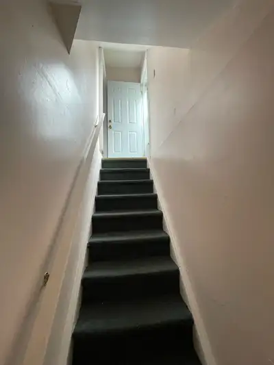 Basement for rent