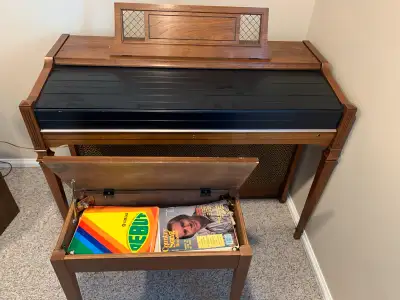 Lots of good memories sing from this, still working about 42 year old organ. It has helped 2 (now gr...