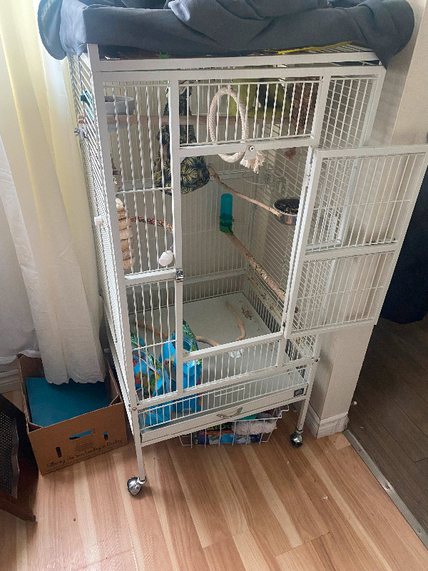 Large bird cage in Birds for Rehoming in Oshawa / Durham Region - Image 2