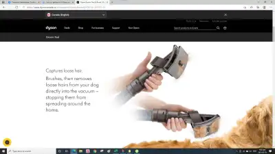 Dyson pet groomer for your furry / hairy little friend or big lol Also for sale Dyson mini turbine h...