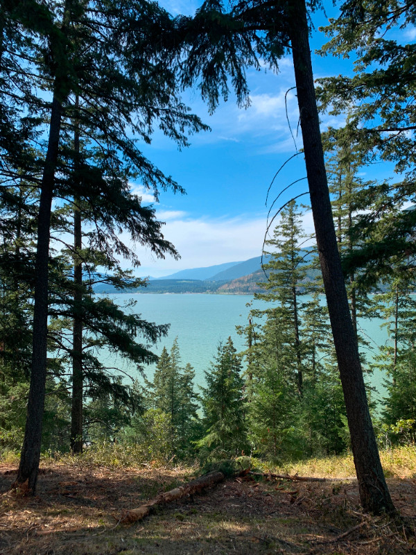 SHUSWAP LAKE VIEW LAND 26 ACRES in Land for Sale in Kamloops - Image 2
