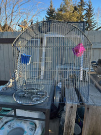 Prevue Pet round Top Bird Cage