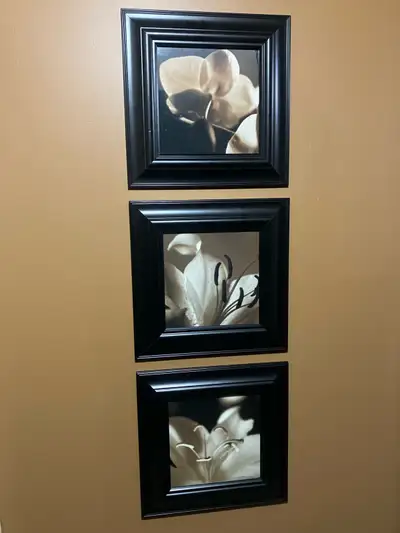 Set of Three Framed Floral Prints, View more
