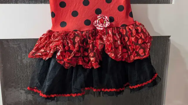 5$ Ladybug Costume for Girl 2/3 Years Old, Very Good Condition, Candiac62864361774339121