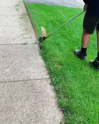 String Trimming and lawn care (weed whacking)63005665259009121
