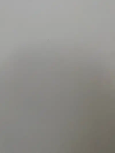 Looking for a roommate to share a 1-bedroom apartment. Rent covers all utilities. It’s less than a 2...