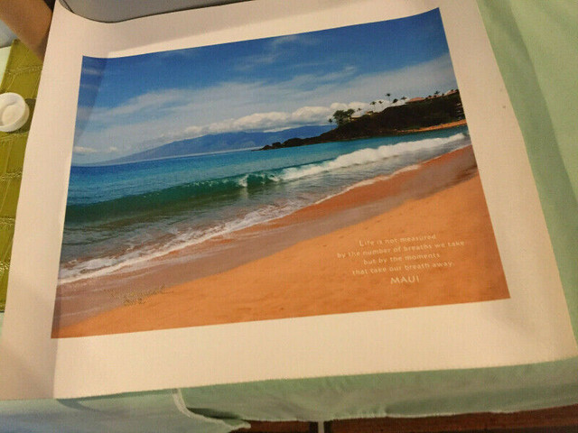 Rebecca Lowell Maui, Hawaii Canvas Print Signed Art - 11" X 14" in Arts & Collectibles in City of Toronto - Image 2