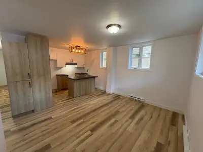 LOGEMENT À LOUER 4 ½ Lieu : 409 Rue Anna Entièrement rénové en 2025. Cet appartement situé au demi s...