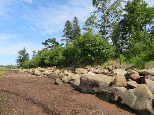 Ocean Waterfront Land, Malagash, North Shore, Nova Scotia in Land for Sale in City of Halifax - Image 4