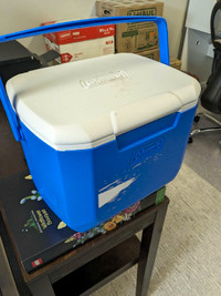 Small Cooler 