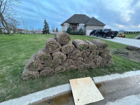 27 rolls of thick sod 