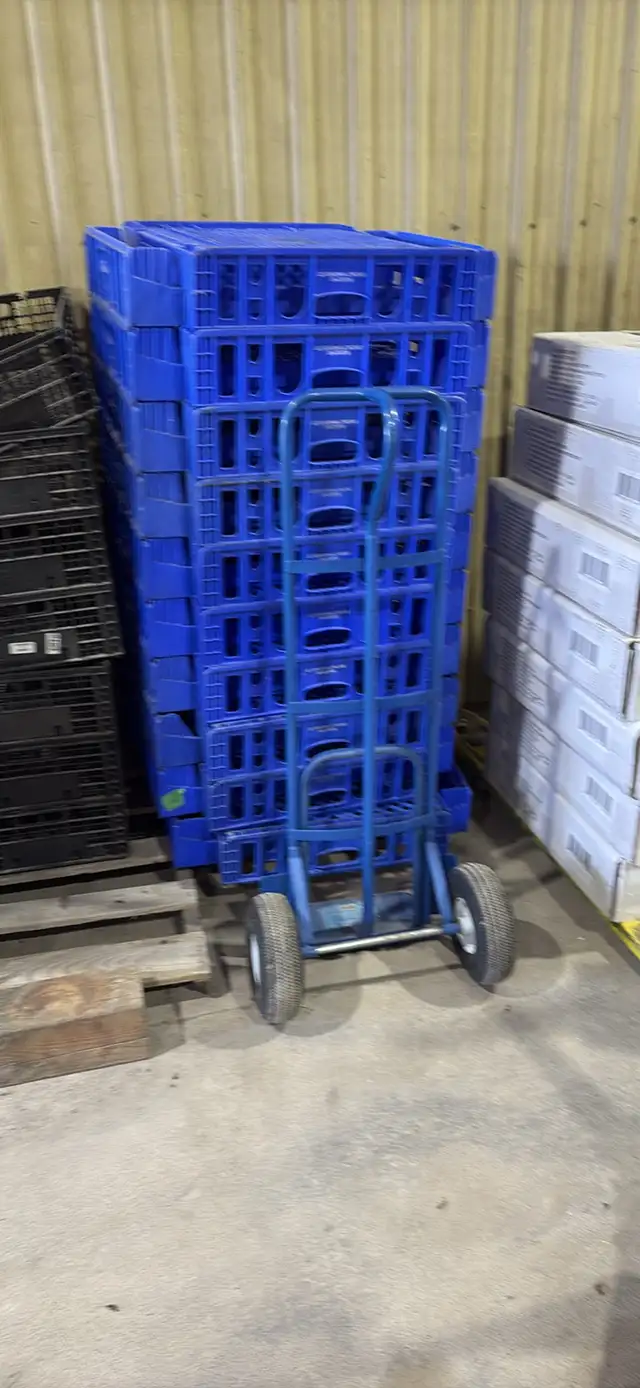 blue bread trays - 30 x 22 inches - used in Kitchen & Dining Wares in Sarnia - Image 4