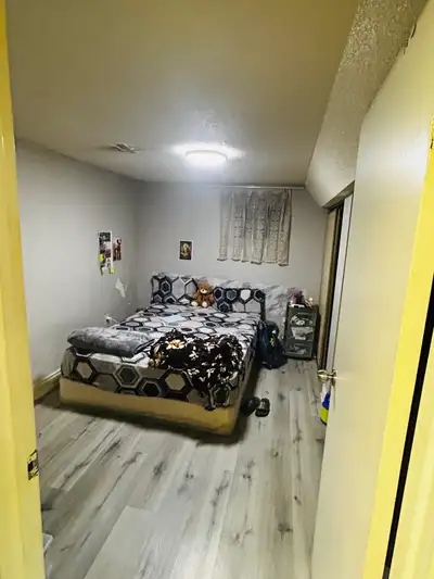 3-bedroom basement in a convenient Malton location from November . Looking for one female tenant to...