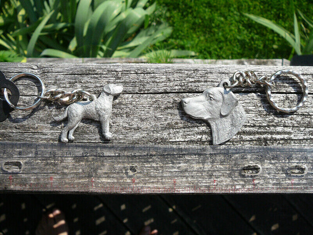 Chesapeake Bay Retriever gifts: Circle of Chessies, keychains dans Art et objets de collection  à Longueuil/Rive Sud