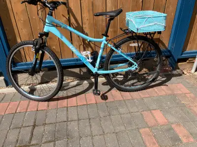 Girl Bicycle Live with Rack and Basket, View more