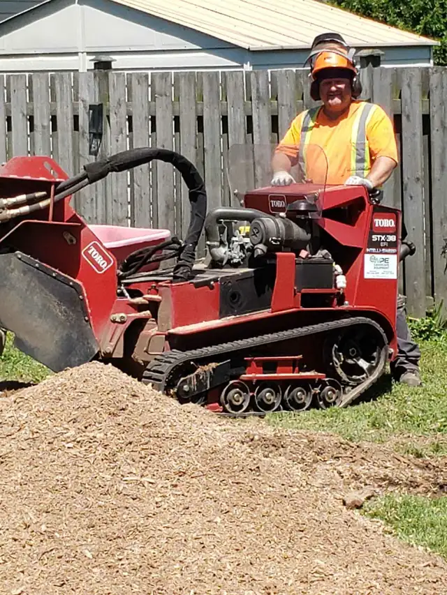 Stump Removal , Stump Grinding63009266183681122