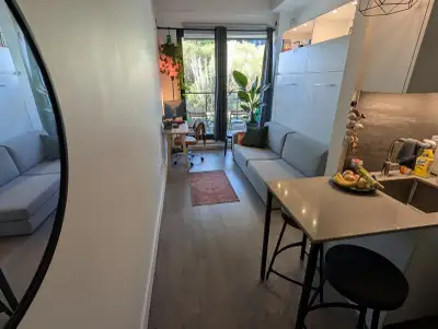 Cession de bail – Studio moderne à Griffintown 1552 Rue des Bassins, Montréal (Griffintown) 1380 $/m...