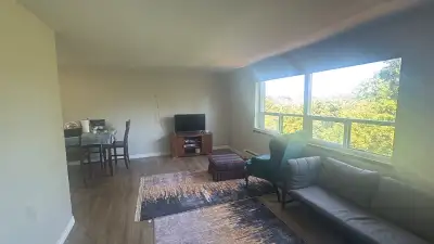 We are looking for a clean, respectful, and responsible roommate to share our apartment unit from Se...