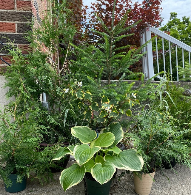 MOVING/GARAGE SALE 2 Families Whiting St., Ingersoll Garage Sales