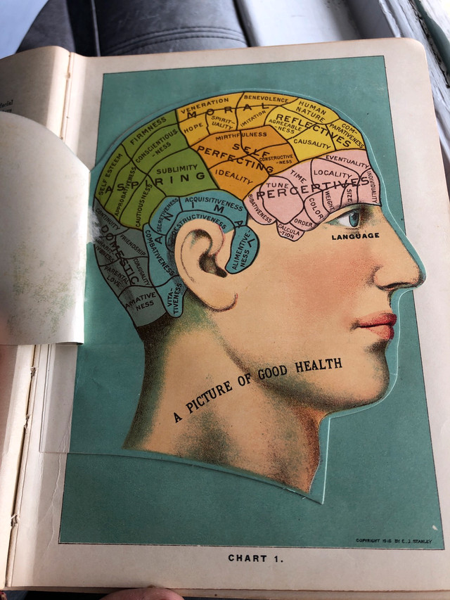 library-of-health-edited-by-b-frank-scholl-ph-g-m-d-textbooks