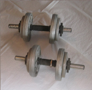 Adjustable Dumbbells | Sporting Goods, Exercise & Workout Equipment in  Alberta | Kijiji Classifieds