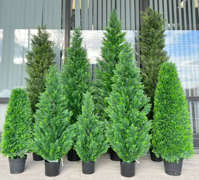 Lush Green Boxwood Trees: Durable & UV-Protected for Outdoor in Outdoor Décor in Mississauga / Peel Region - Image 4